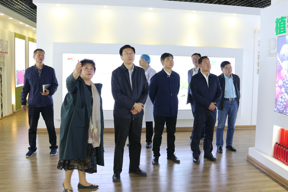 2020年11月2日省政府食安辦副主任，省市場監督管理局副局長王建防到公司調研指導工作.JPG
